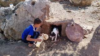 Nomadic life Arslans family and his wife Parvaneh traditional hut and cooking in the mountain [upl. by Dloraj]