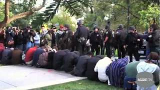 UC Davis Protestors Pepper Sprayed [upl. by Michigan]