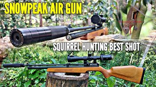 PR900W GEN 2 IN ACTION SNOWPEAK AIR GUN 177 PEST CONTROL SQUIRREL [upl. by Nozicka877]