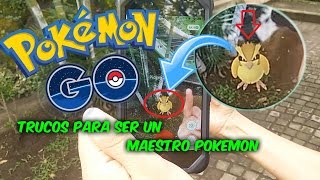 POKEMON GO TRUCOS Y CURIOSIDADES TRUCOS PARA SER UN MAESTRO POKEMON [upl. by Niattirb349]