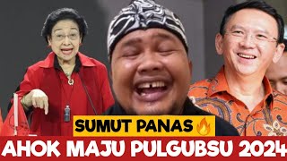 PDIP NEKAT  AHOK DI KIRIM KE PILGUB SUMUT [upl. by Mailliw]