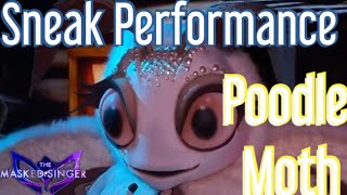 Sneak Performance of the Poodle Moth  The Masked Singer Season 11 Ep 5 [upl. by Sueahccaz]