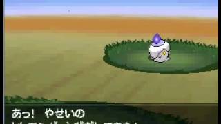 How to Catch Litwick on Pokemon Black amp White 2 [upl. by Morie341]