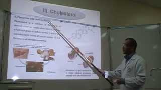 Salkowskis test Part 1 Identification of Cholesterol [upl. by Oiliruam]