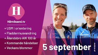 Härnösandtv  5 september 2024 [upl. by Sidnac]