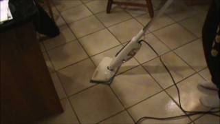 Haan Steam Cleaner Review [upl. by Thgiwed184]