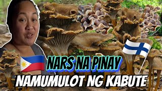 PINAY NURSE NAMUMULOT NG WINTER MUSHROOMS SA GUBAT NG FINLAND  THE LINDEMANS [upl. by Clarette]