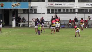 Hamilton u20 2024 vs Maties Young Guns 32 fifth chukka [upl. by Odrahcir]