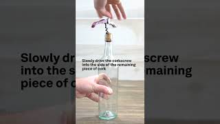 How to Remove a Broken Cork [upl. by Johnath]