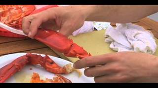 How to eat a lobster [upl. by Jerry]