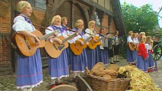 Mühlenhof Musikanten  Freesenhochtied 1998 [upl. by Meriel881]