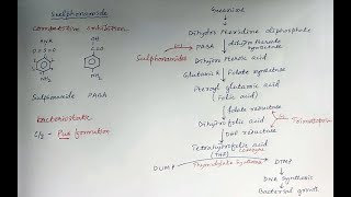 Sulphonamides antibacterial antimicrobial chemotherapy [upl. by Hersch]