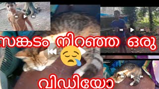 ഇന്നത്തെ ഈ വിഡിയോ യിലേക്ക് എല്ലാവർക്കും സ്വാഗതം ☝🏼kannurfamilyvlog [upl. by Aerdnaek898]