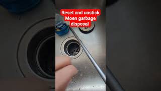 reset and fix stuck moen garbage disposal [upl. by Larentia]