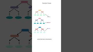 Easy Explanation of Random Forest Algorithm shorts algorithm [upl. by Gronseth39]