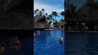 🇩🇴 Barcelo Bavaro Palace Punta Cana Dominican Rep 🌴shorts short shortvideo shortsvideo [upl. by Littell213]