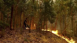 Mais de cinco mil bombeiros combatem 44 incêndios quotPróximas 24 horas vão ser muito complexasquot [upl. by Nnaitsirhc]