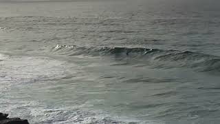 Bronte amp Tama Surf Check Wednesday May 8th 2024 845am [upl. by Waynant]