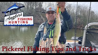 Pickerel Fishing Tips Tricks and How Tos [upl. by Hime860]