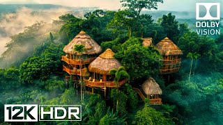 12K HDR 120FPS Dolby Vision The Most MindBlowing Footage Ever Shot 8K Earth [upl. by Aydni]