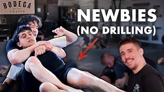 Can beginners learn BJJ without drilling [upl. by Constantia]