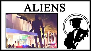 Are There Really Aliens In Miami [upl. by Ayotnom]