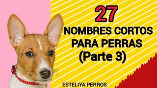 27 NOMBRES CORTOS Y LINDOS PARA PERRAS Parte 3 [upl. by Ecnarolf837]