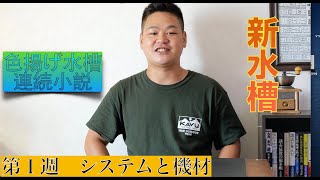 新水槽立ち上げ 色揚げ水槽連続小説＃１ [upl. by Nievelt560]