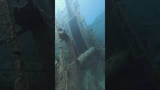 Shipwreck diving just off the coast of Elba island Italy [upl. by Atnoek97]