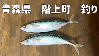 【2024年11月】青森県階上町サバ釣り [upl. by Mitran587]