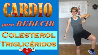 Reduce el COLESTEROL y Triglicéridos con este Cardio  kanimoo [upl. by Hoem]