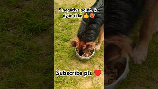 5 negative points ka dyan rkhe 👍🥵 gsd viral germansheparddog shorts gsdindia doglover like [upl. by Kenji188]