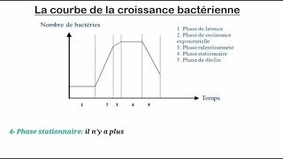 La croissance bactérienne [upl. by Eeral]