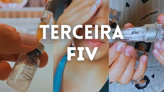 Começei a FIV   Última tentativa [upl. by Jerrie]