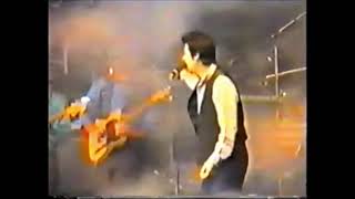 Shakin Stevens Tear It Up Live In Goslar 1994 [upl. by Aliac]