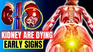 12 Signs Your Kidneys Are in Danger  kidney failure symptoms [upl. by Elicec]