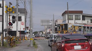 ひたちなか海浜鉄道 金上駅踏切その2 [upl. by Norbie751]