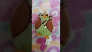 Trying candy fillter on toy owl [upl. by Adore]