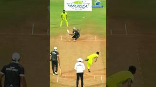 Rate This Shot  shorts cricket tennis tennisballcricket tenniscricket cricketfans viral 🏏😱 [upl. by Whitebook612]