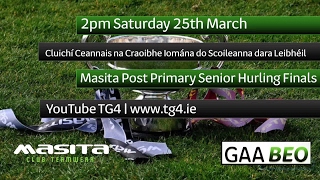 TG4 TO STREAM LIVE GAA MATCHES ONLINE [upl. by Ahcsas275]