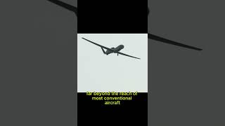 The RQ4 Global Hawk Eyes in the Sky plane drone airplane aircraft military shorts short [upl. by Coltun]