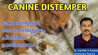 Canine distemper malayalamCanine distemper treatmentSymptomsDiagnosis [upl. by Rett]