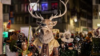 Tagwach SchmuDo Luzerner Fasnacht 2024  Noggeler Näbelhüüler Födlitätscher Nostradamus PGL uvm [upl. by Antonetta]