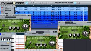 Audio Engines Musiker Magazin Cannabis Vocoder Plugin [upl. by Knox]