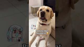 Papa ko mat batana plz🥹🫣🙏🏻  abi kya karna chahiye simba petparent doglover funnyshorts [upl. by Pardo231]