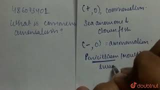 What is commensalism and amensalism  CLASS 12  ORGANISMS AND POPULATIONS  BIOLOGY  Doubtn [upl. by Zamir]