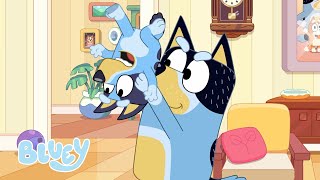 CroqueBluey  LES PETITES HISTOIRES DE BLUEY  Bluey Français Chaîne Officielle [upl. by Seravat]