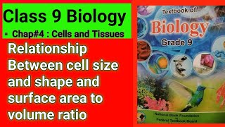 Relationship Between cell size and shape and surface area to volume ratio  Unit4 Cells and Tissues [upl. by Bassett]