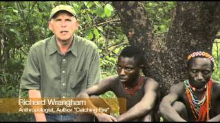 The Hadza Last of the First  Honeyguide Bird [upl. by Oigimer]