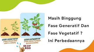 Perbedaan Fase Vegetatif Dan Fase Generatif  Pemupukan Tanaman [upl. by Saeger604]